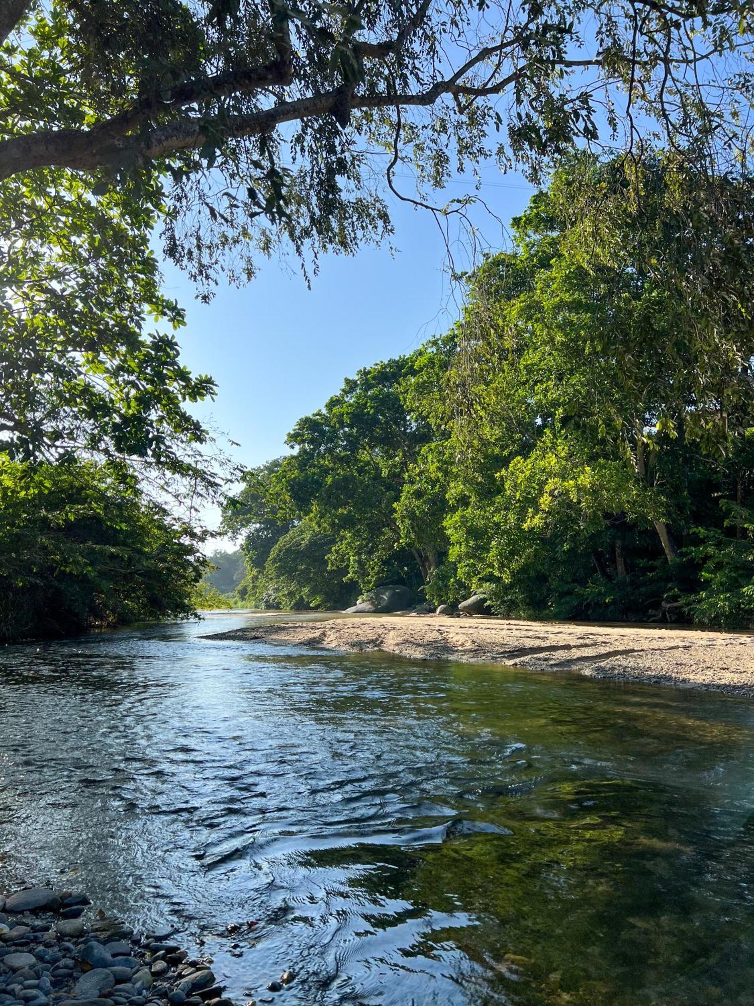 Tayrona Cachaco River Ecohostal Zaino Eksteriør billede